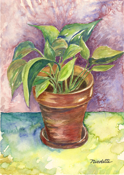 images/plant.jpg, 107.4K